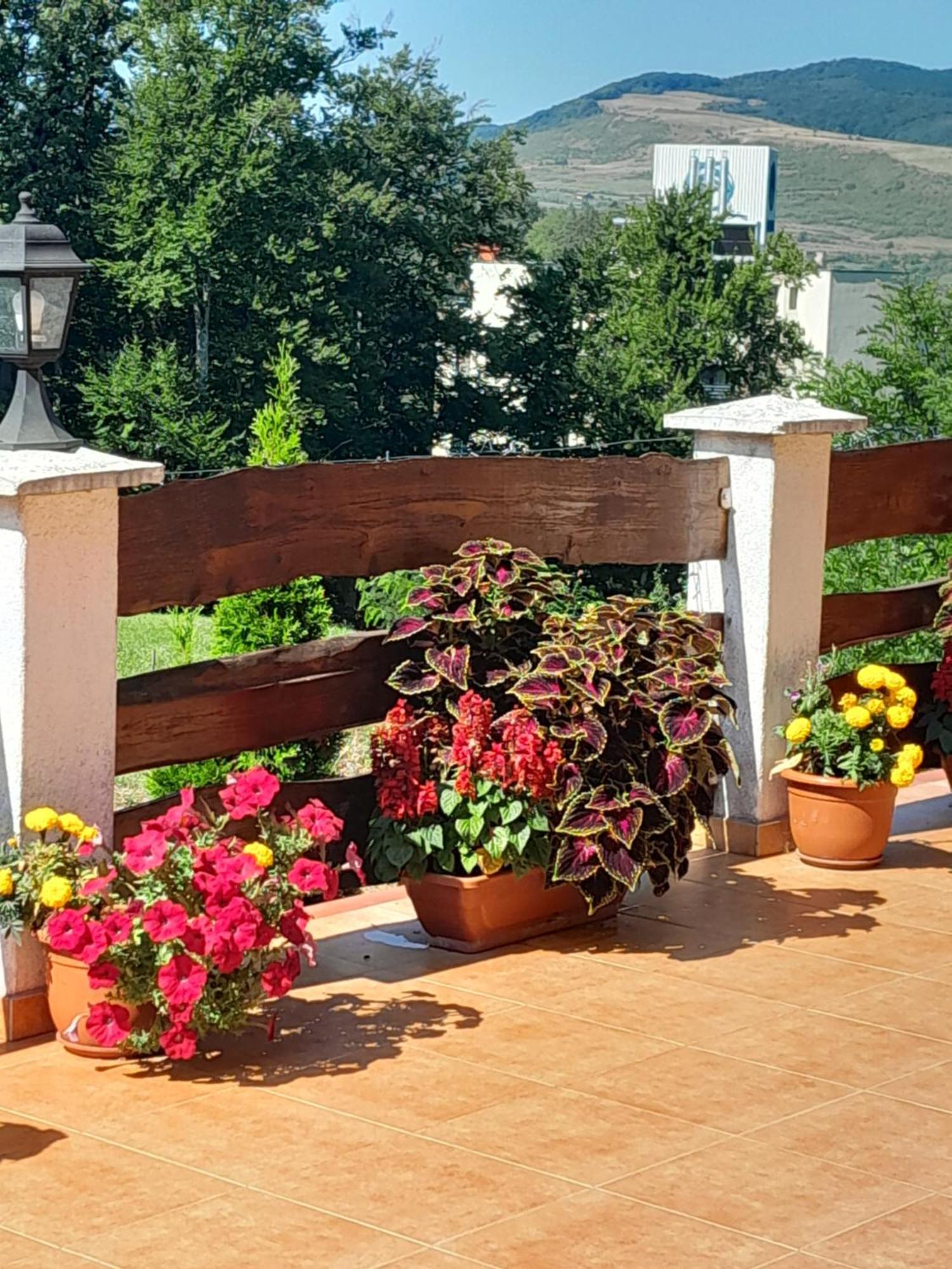 Casa Eldorado Otel Sovata Dış mekan fotoğraf
